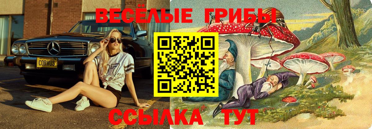 Урюпинск  Галлюциногенные грибы Psilocybine cubensis  Вход с VPN 
