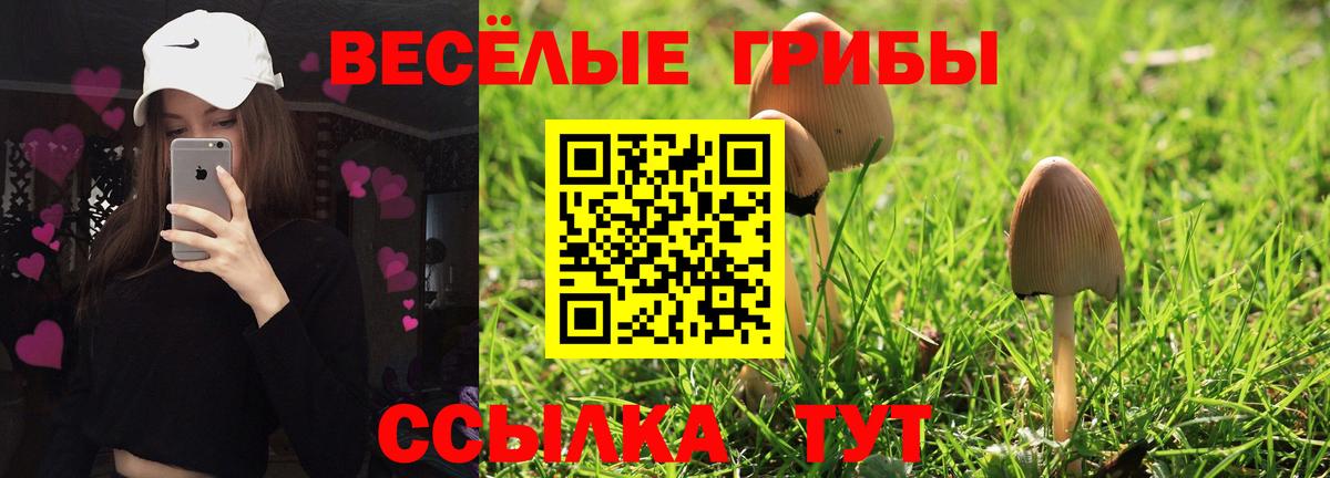 Галлюциногенные грибы Psilocybine cubensis Урюпинск